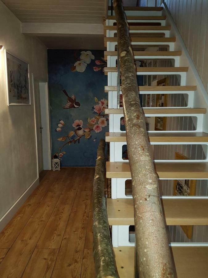 Zucht- Und Ausbildungsstall Rubly Kleinbundenbach Eksteriør billede